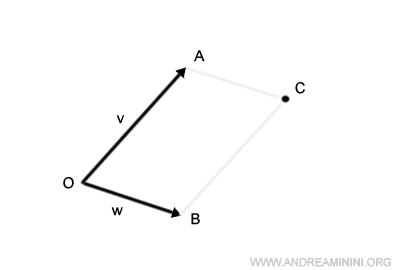 il parallelogramma 