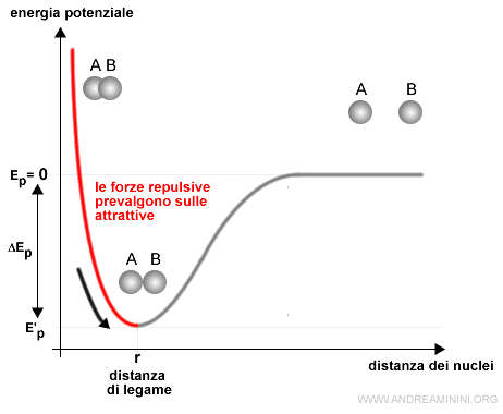 le forze repulsive prevalgono sulle attrattive e gli atomi si allontanano