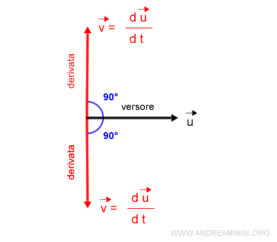 il verso della derivata del versore