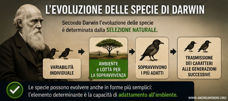 la selezione naturale delle specie nella teoria di Darwin