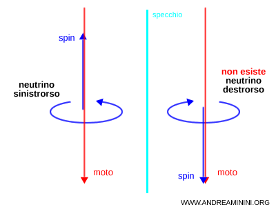 un esempio di neutrino sinistrorso e di violazione della parità