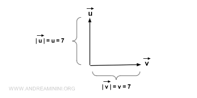 la differenza tra modulo e vettore