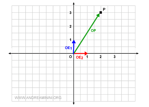 il vettore P