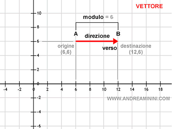 un esempio di vettore