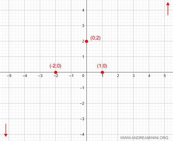 il comportamento asintotico della funzione