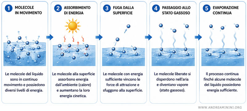 come avviene l'evaporazione