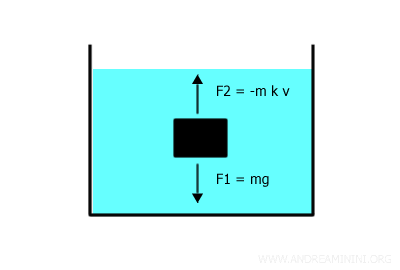 la forza di attrito viscoso si oppone alla forza peso