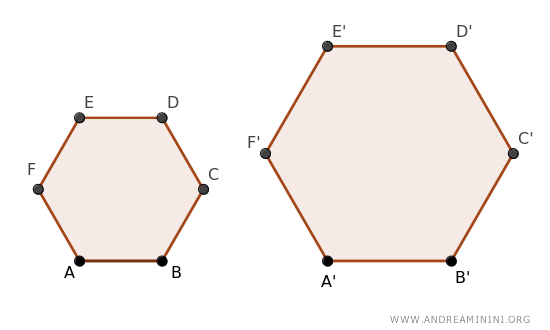 due esagoni simili