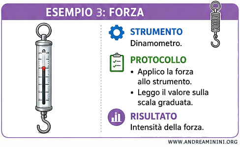 esempio del dinamometro