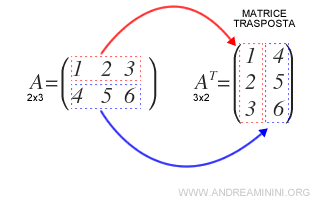 come costruire una matrice trasposta