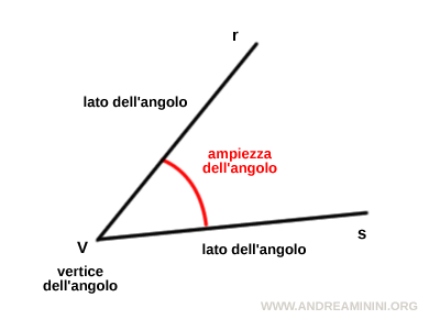 i lati, il vertice e l'ampiezza di un angolo