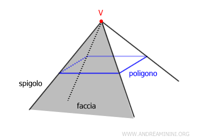 le componenti di un angoloide