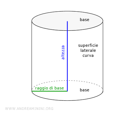 le basi, il raggio, l'altezza e la superficie laterale del cilindro circolare retto