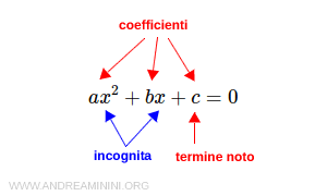 i coefficienti e le incognite dell'equazione di secondo grado