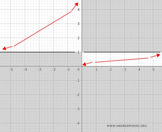 il grafico grezzo della funzione