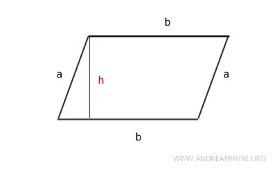 il parallelogramma