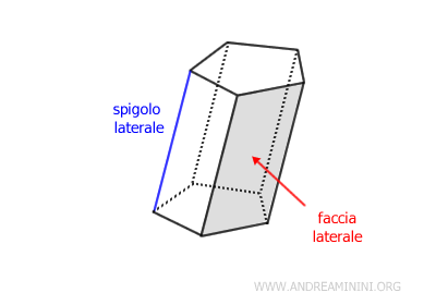 le facce laterale