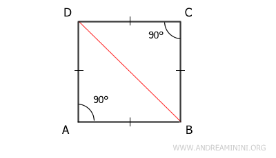 la diagonale BD divide il quadrato in due triangoli rettangoli isosceli