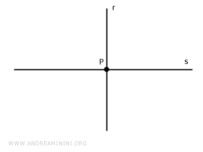 due rette incidenti nel punto P