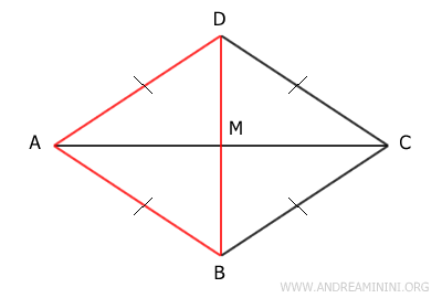 il triangolo ABD