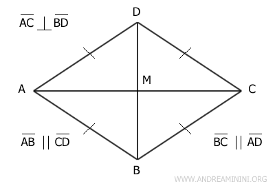 il rombo ha le diagonali perpendicolari e bisettrici