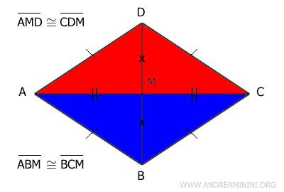 i triangoli sono congruenti