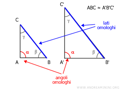 i lati e gli angoli omologhi