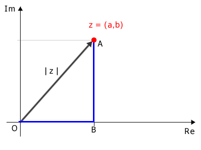 la spiegazione del modulo