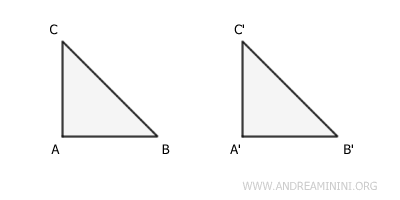 esempio di figure congruenti ed equivalenti