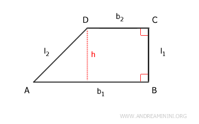 la base maggiore e minore del trapezio rettangolo