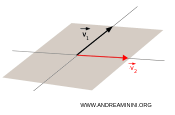 i vettori non paralleli