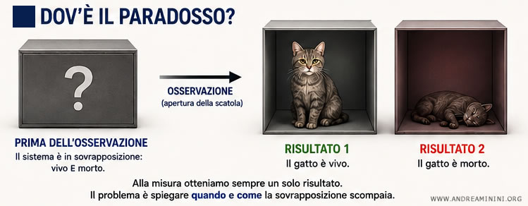 dove è il paradosso?