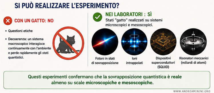 come si realizza l'esperimento in laboratorio