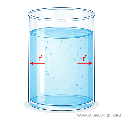 esempio di pressione perpendicolare sulla superficie del recipiente
