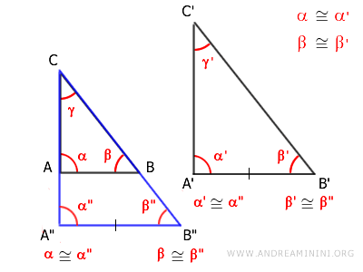 gli angoli  α'≅α" e β'≅β"  sono congruenti