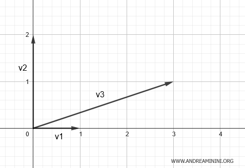 la rappresentazione grafica dei vettori