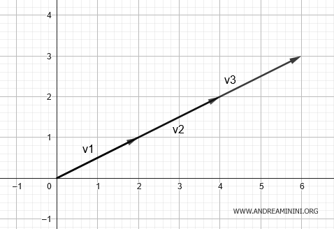 la rappresentazione grafica