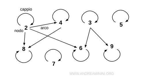 la rappresentazione della relazione riflessiva tramite un grafo