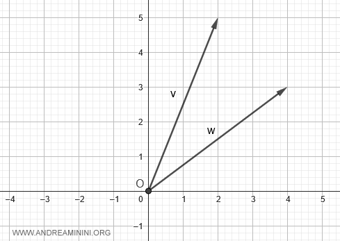 i due vettori sul piano