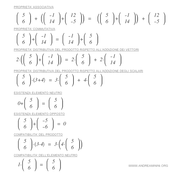 le proprietà delle operazioni nello spazio vettoriale