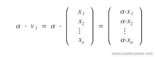 il prodotto di uno scalare per un vettore 