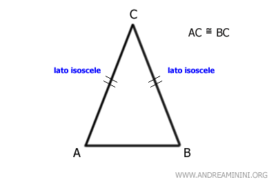 i due lati congruenti o isosceli del triangolo ABC