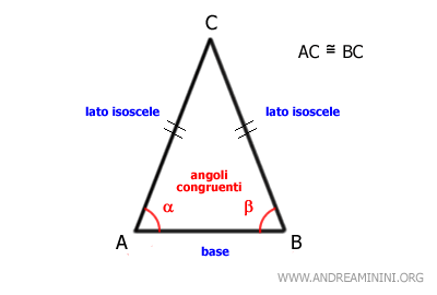 gli angoli congruenti adiacenti alla base
