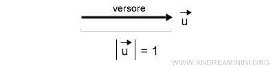 un esempio di versore
